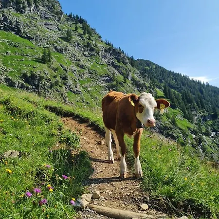 Sonnenblume Mit Hallenbad Und Sauna شقة ميسين-فيلامس